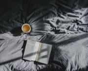 La Pensée sauvage de Juliette