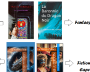Les Chroniques littéraires de mes romans de fantasy