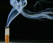L'amour et les cigarettes