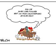 Coq pas gai mais gay