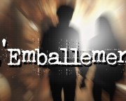 L'Emballement : fragment de texte. (2)