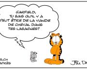 Garfield et les ratpsodies - hommage à mon chat préféré