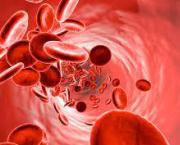 ROUGE EST LE SANG DES HOMMES
