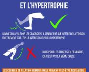 Les courbes de résistance et l'hypertrophie