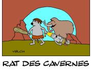 Dans les cavernes , il y avait aussi des rats