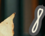 Case 8: Lettre envolée.