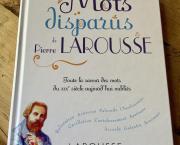 Le jeu des mots disparus