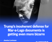 "Unprecedented Investigation", so what's on ?