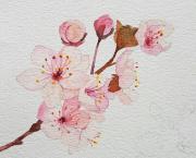 Une fleur