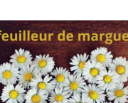 Effeuilleur de marguerite - Challenge Hebdo