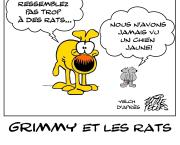 Le chien Grimmy rencontre les rats