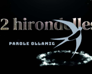 12 hirondelles