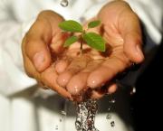 Et PIFF ! L'entraide.