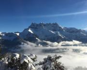 Un pas vers le ski