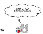 Rat de bibliothèque