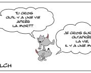 après la vie , la mort et après la mort...