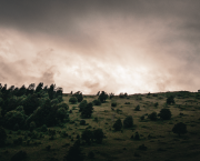 Les mardis de j’aime et je n’aime pas.