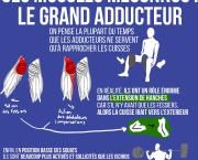 Ces muscles méconnus : le grand adducteur