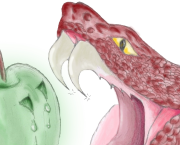 Chapitre 1 : La Makdra
