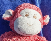 L'Histoire d'Hubert le singe