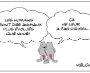 Humains évolués (?)