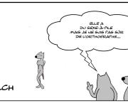 Sexe-à-pile