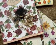 Le jardin de graines du 21 Octobre