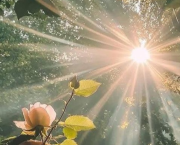 Sois heureux...