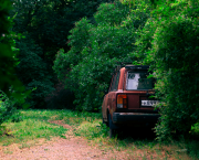 De là-bas au bois...