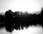 Ma culture du Bonheur