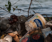 La polluconsommaction