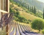 Mine d'or (Ch 1)