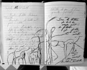 Petits Papiers Volants : Journal D'écriture 2003-2018 - Jeudi 11 janvier 2018