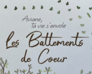 LA GLACE ET LE FEU