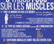 3 trucs fous sur les muscles