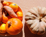 LA PIERRE ET LE SANG DES CÎTEAUX