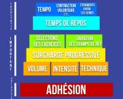 La pyramide de l'entraînement