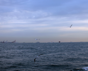 SELENA AU BORD DE L'EAU