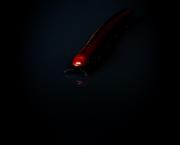 Le philosophe aux mille pattes