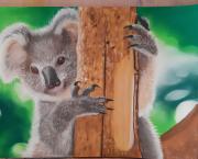 Le koala