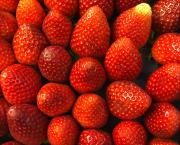 Verrines printanières fraises spéculoos comme un tiramisu