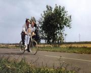 Les choses de la vie (1970) Claude Sautet