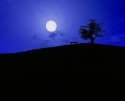 Marche de nuit sur la colline