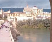 « L’Europe sans rivages » et la circulation mondiale des idées (éditorial Lettre de l'OEP N°94)