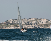 Des orques à Marseille !