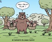 castors en ballade