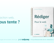 Le Livre Blanc de la rédaction web