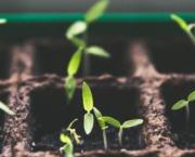 Et maintenant le silence