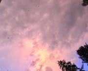 Quand le ciel fleurira