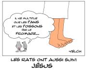 les rats ont aussi suivi Jésus